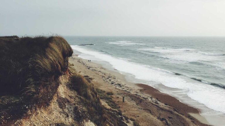 How Does Lay-Back Betting Work On Cricbet99?